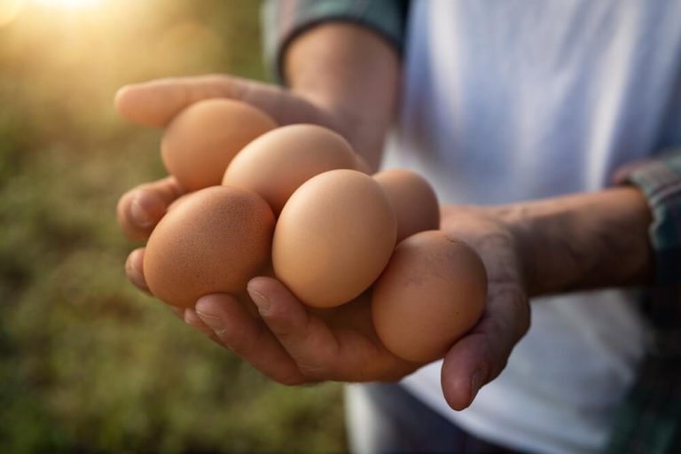 Productos agrícolas